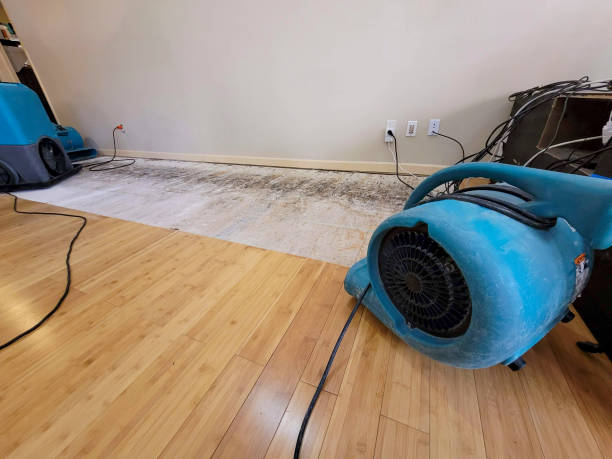 Professional Flood Damage Cleanup technician working in Sparta, MO